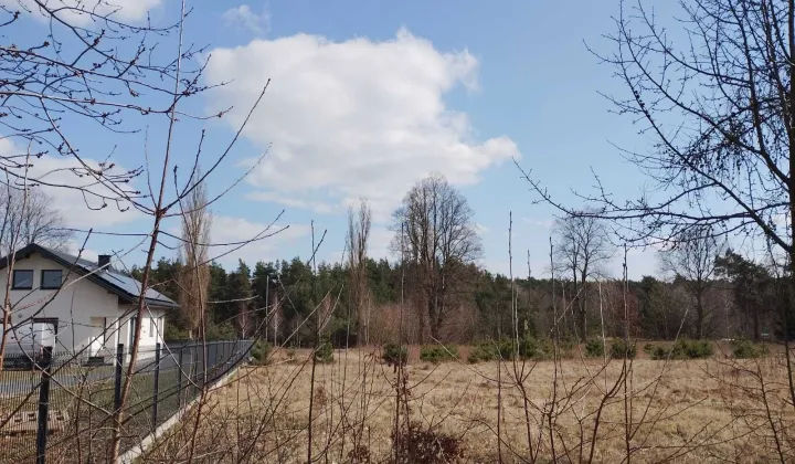 Działka budowlana Ryki, ul. Królewska