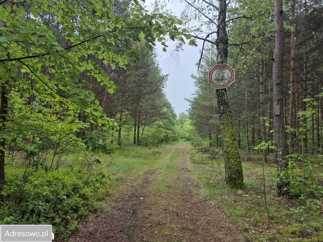 dom wolnostojący, 3 pokoje Żarki. Zdjęcie 6