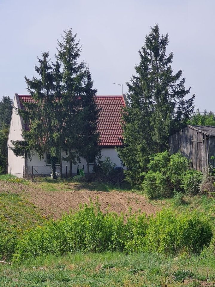 siedlisko, 3 pokoje Zielonczyn. Zdjęcie 2