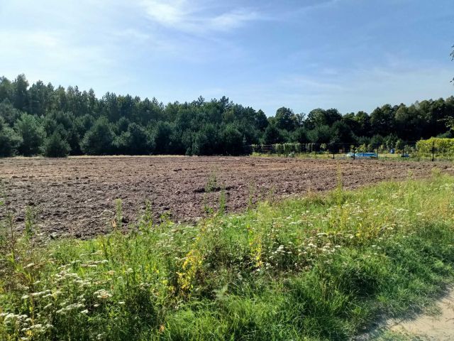 Działka Hipolitów. Zdjęcie 1