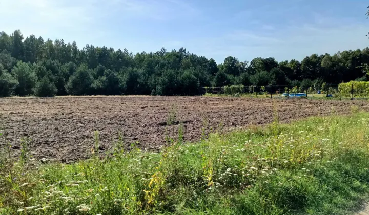 Działka Hipolitów