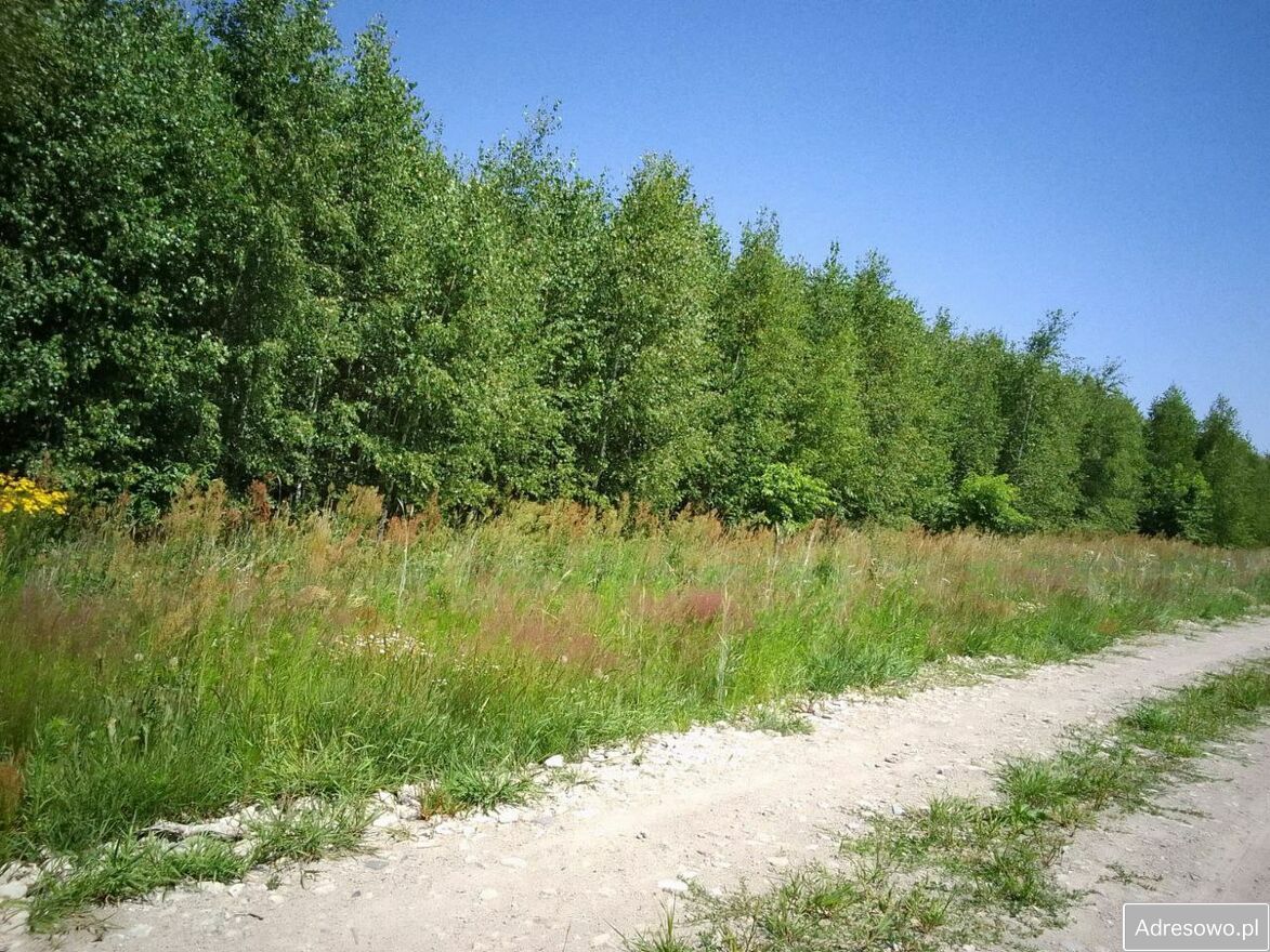Działka budowlana Brańszczyk. Zdjęcie 6