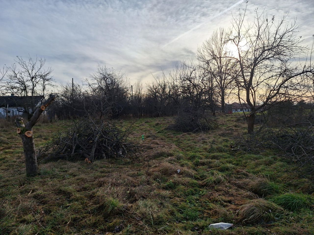 Działka rolno-budowlana Elżbiecin. Zdjęcie 4