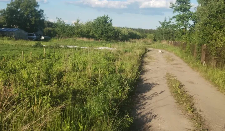 Działka rolna Wola Worowska