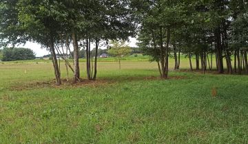 Działka budowlana Tołcze, ul. Leszczynowa