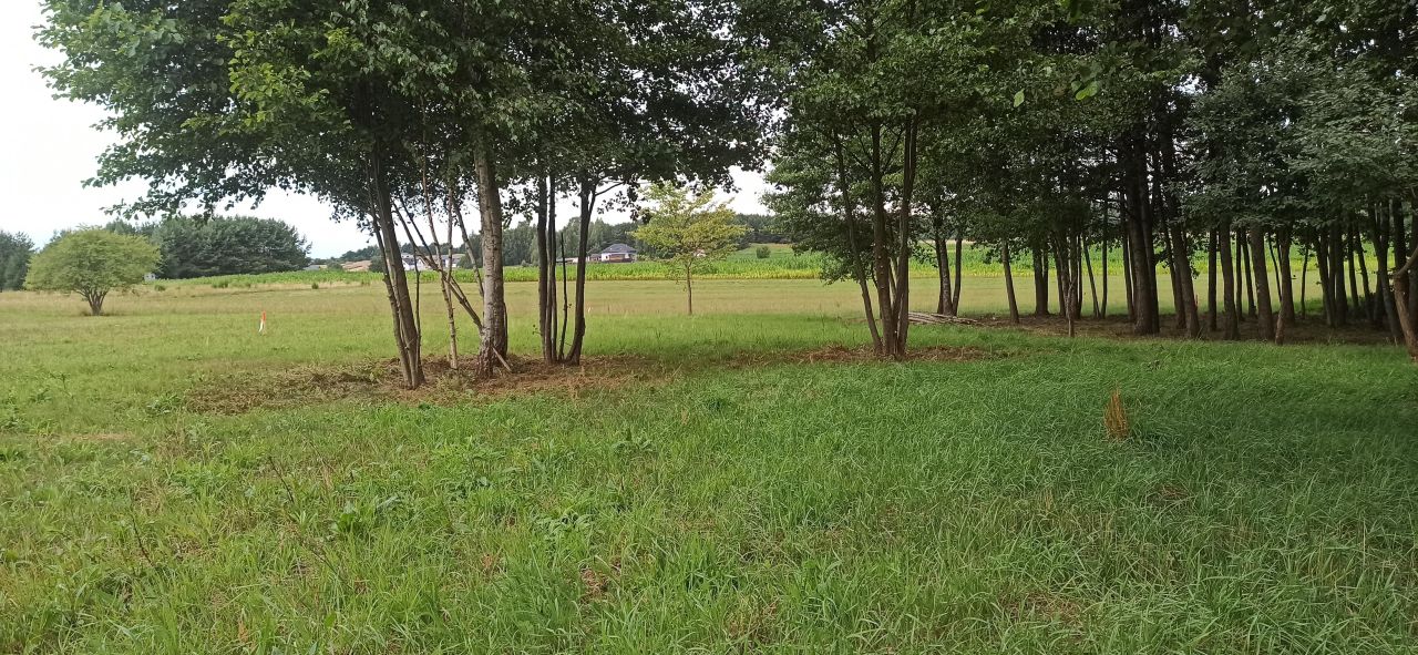 Działka budowlana Tołcze, ul. Leszczynowa