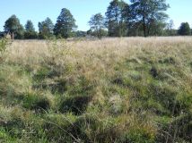 Działka budowlana Sokule. Zdjęcie 2