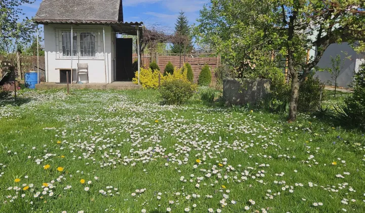 Działka rod Dębica, ul. 1 Maja