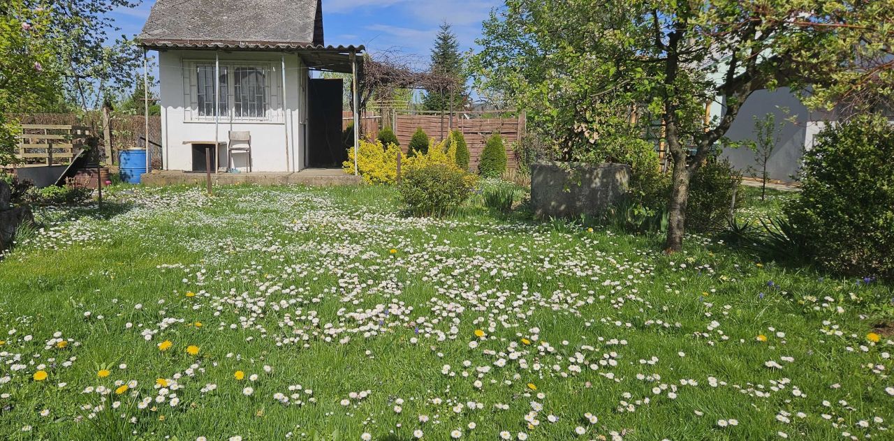 Działka rod Dębica, ul. 1 Maja