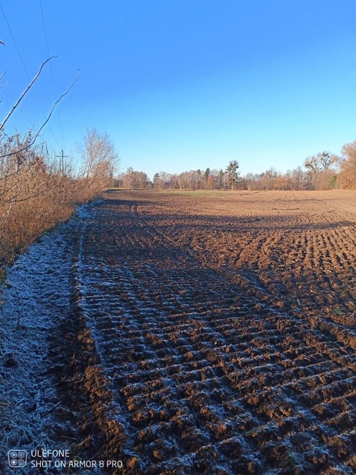 Działka budowlana Jeżewo. Zdjęcie 7