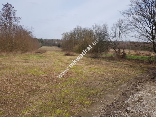 Działka rolna Borszyce. Zdjęcie 2