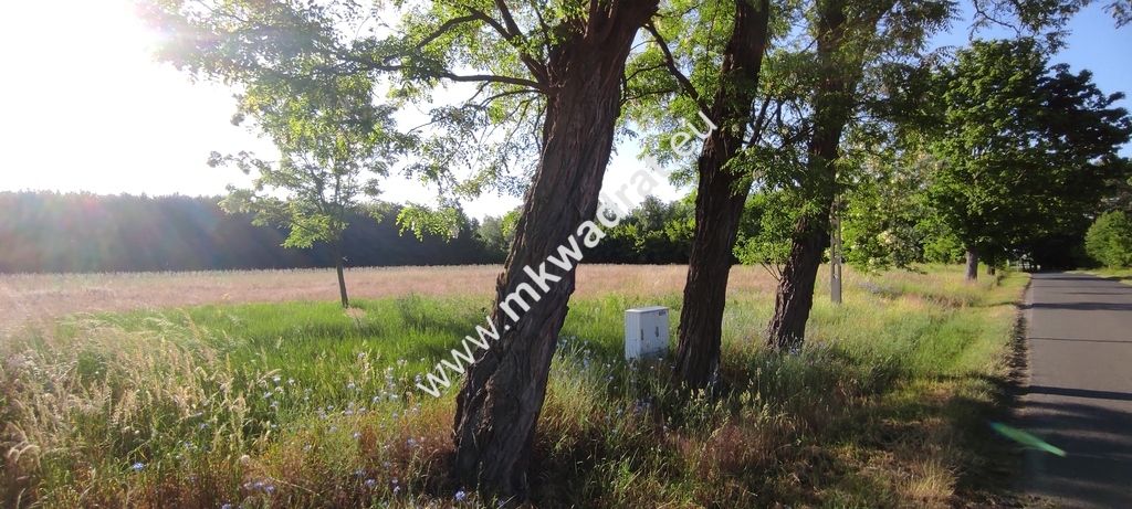Działka budowlana Chrzczany. Zdjęcie 3