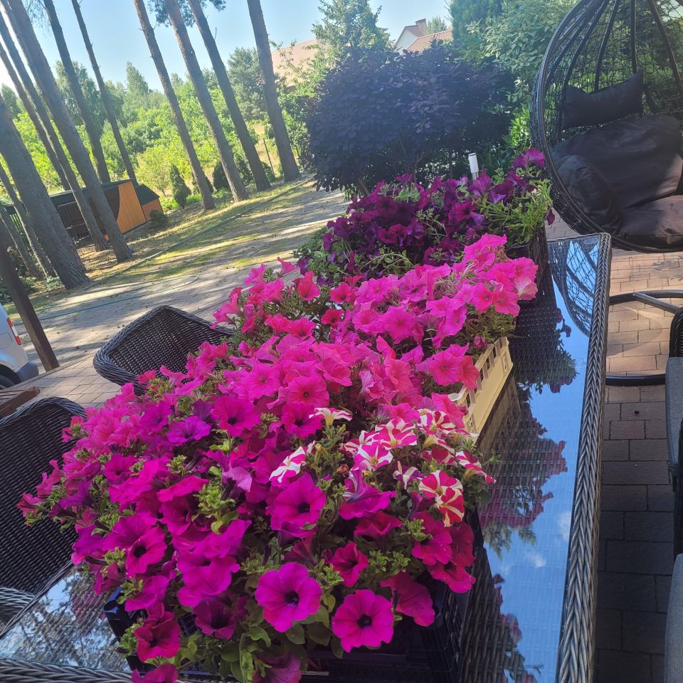 dom wolnostojący, 4 pokoje Kobyla Góra Onufry, ul. Wojska Polskiego. Zdjęcie 17