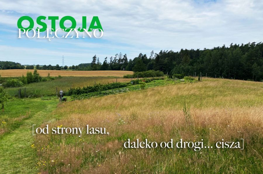 Działka budowlana Połęczyno. Zdjęcie 2