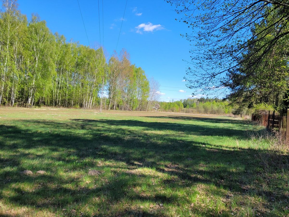 siedlisko Zaręby, ul. Kuropatwy. Zdjęcie 21