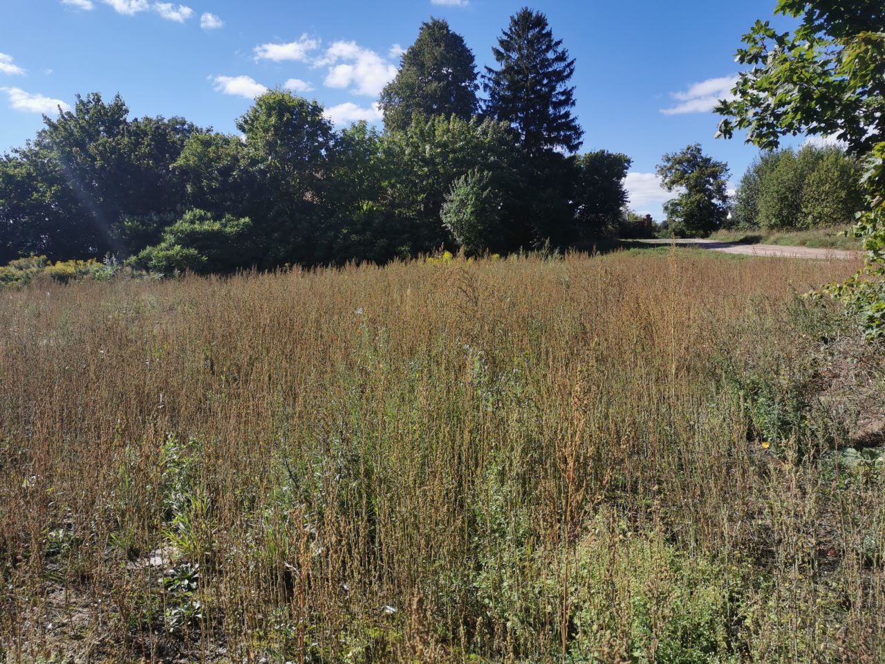 Działka inwestycyjna Przezmark. Zdjęcie 14