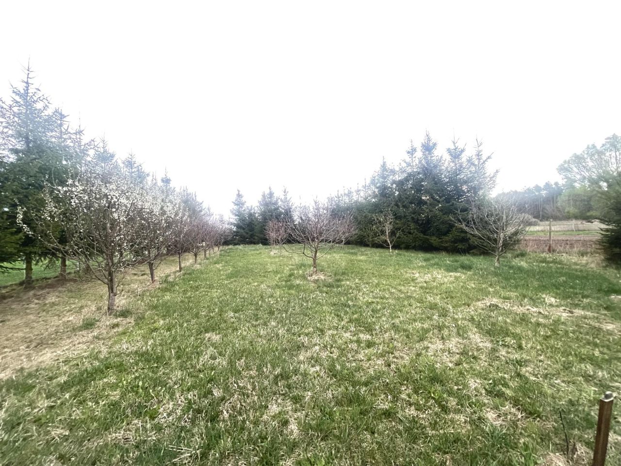 Działka budowlana Całowanie. Zdjęcie 6