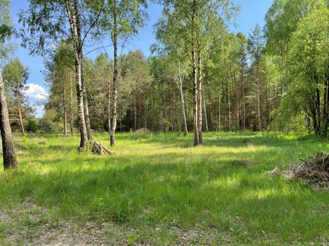 Działka budowlana Gęsianka. Zdjęcie 1