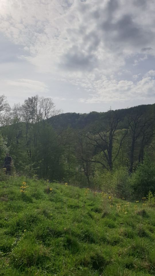 Działka budowlana Lubachów. Zdjęcie 2