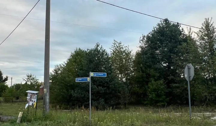 Działka budowlana Nowa Dęba Dęba-Osiedle, ul. Zarzecze