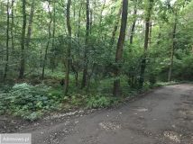 Działka Sękocin-Las, ul. Maślaka. Zdjęcie 2