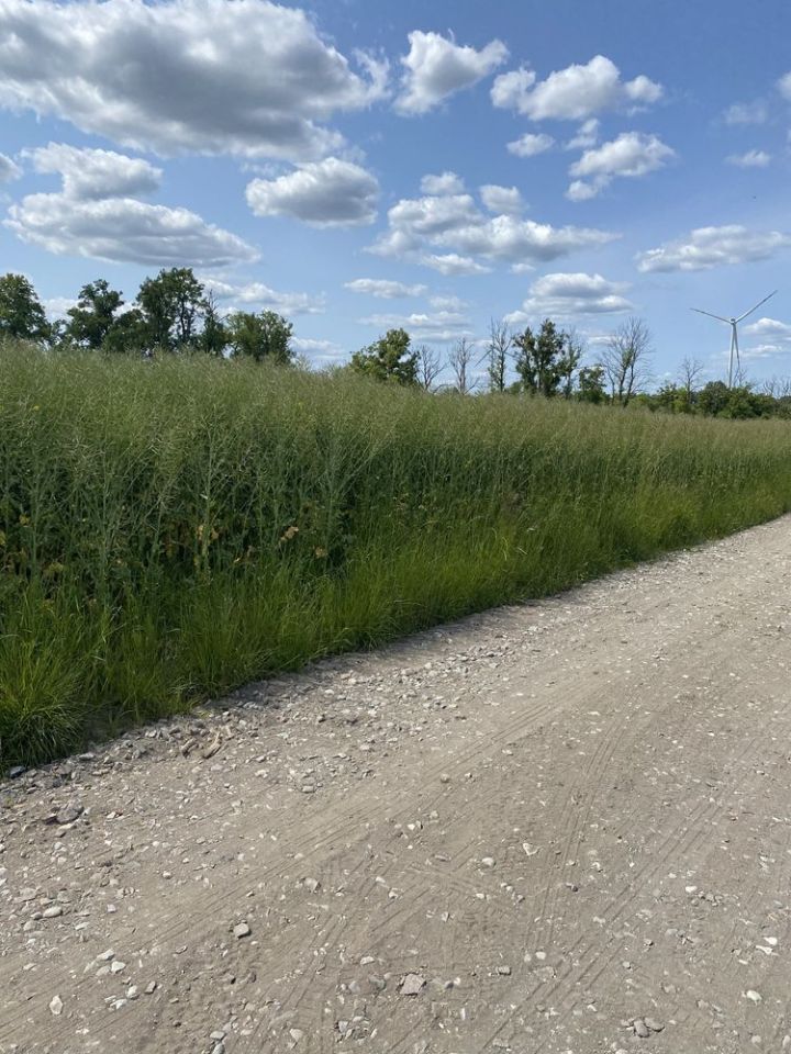 Działka budowlana Pasłęk, ul. Ostry Róg. Zdjęcie 3