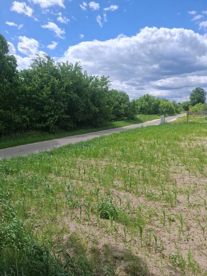 Działka rolno-budowlana Krzywie. Zdjęcie 1