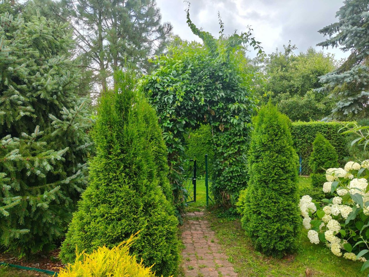 Działka rod Kajetany. Zdjęcie 4