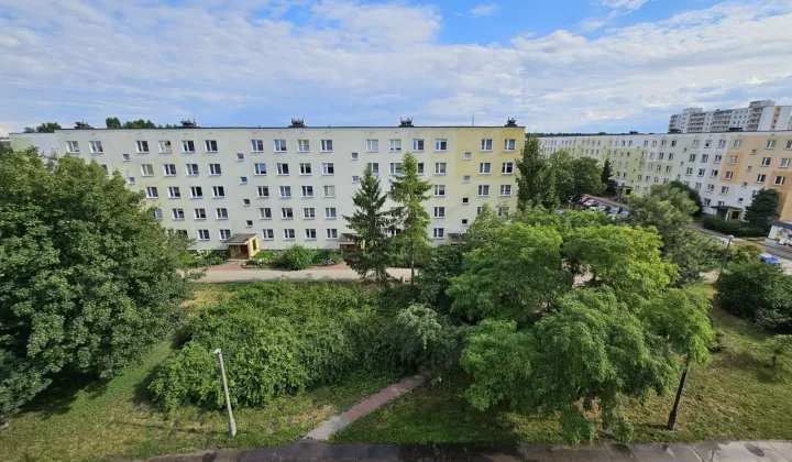 Mieszkanie 3-pokojowe Toruń Na Skarpie, ul. Wincentego Witosa