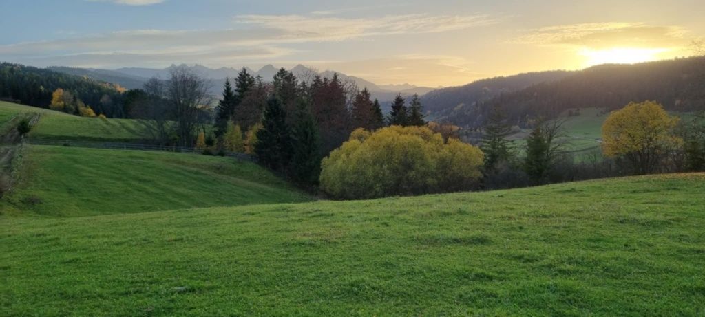 Działka rolna Nowy Targ. Zdjęcie 3