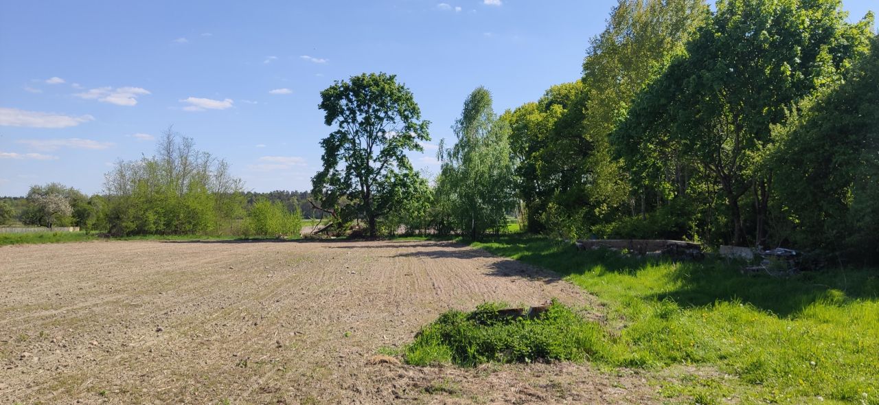 Działka rolno-budowlana Kopytów. Zdjęcie 4