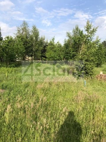 Działka budowlana Adamowizna. Zdjęcie 2