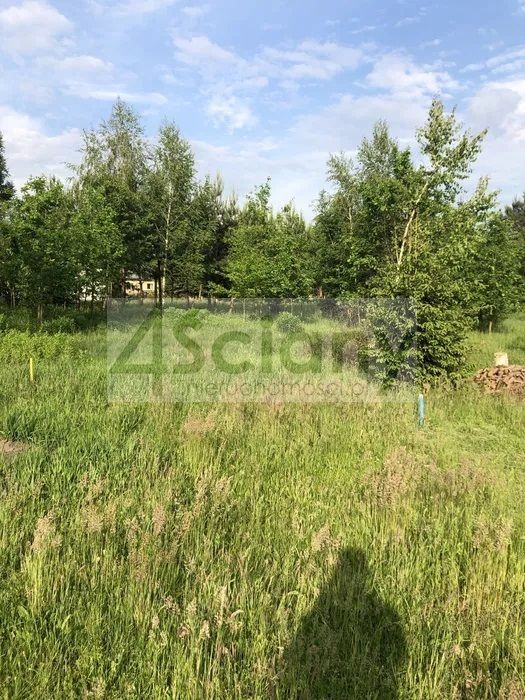 Działka budowlana Adamowizna. Zdjęcie 2