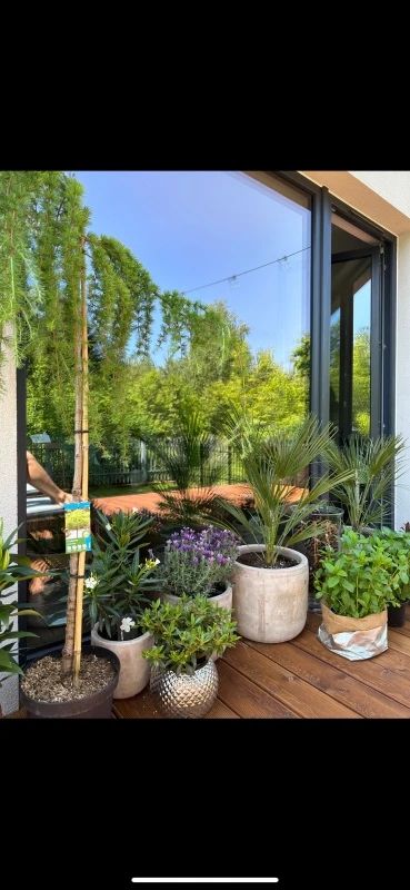 bliźniak, 5 pokoi Stara Wieś, ul. Słowika. Zdjęcie 4