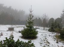 Działka budowlana Stróżewko. Zdjęcie 3