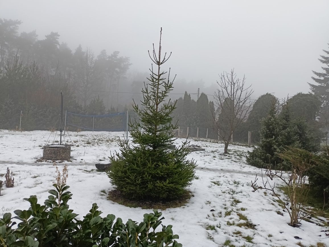 Działka budowlana Stróżewko. Zdjęcie 4