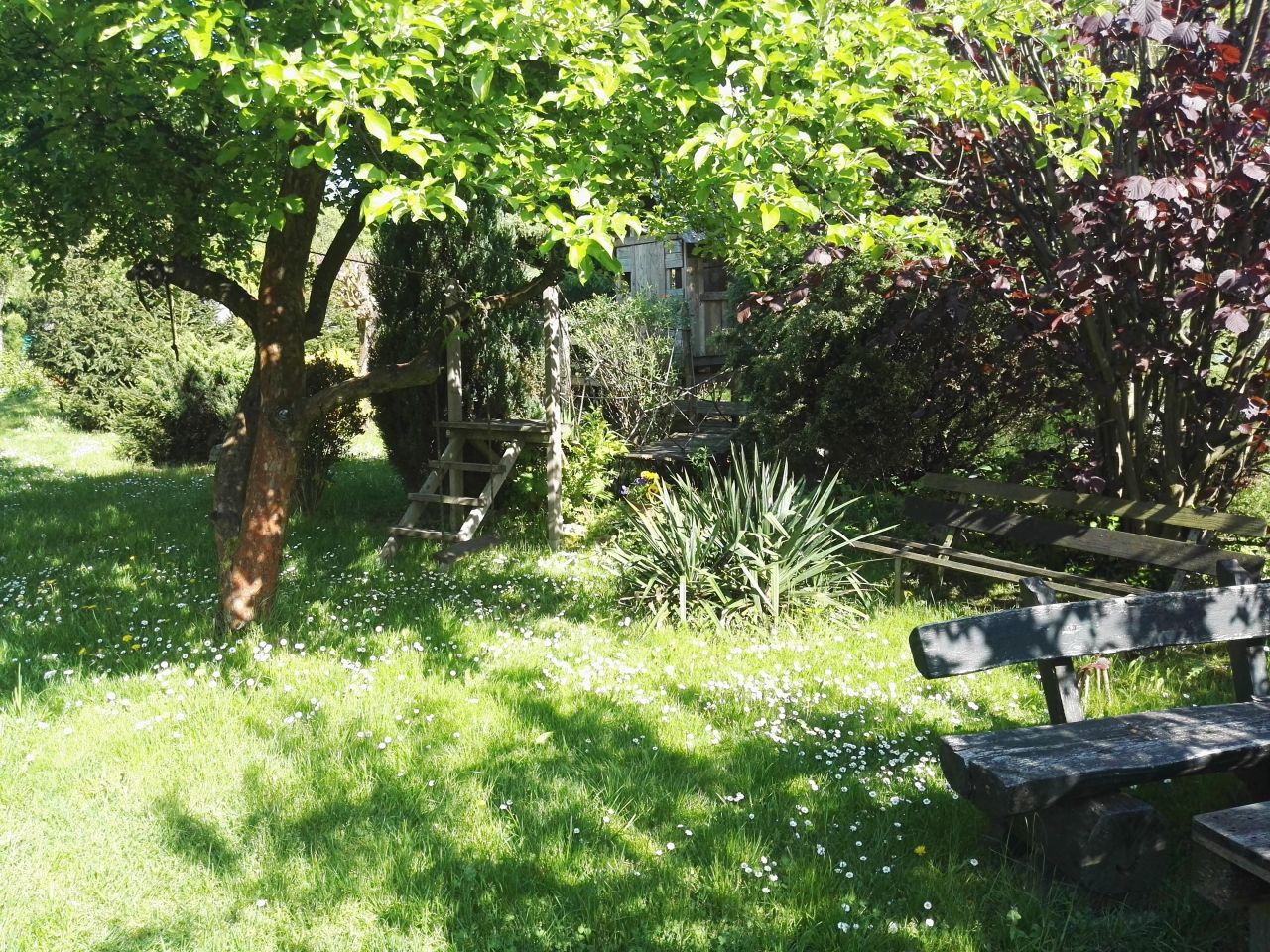 Działka rod Kraków Bielany, ul. Mirowska. Zdjęcie 3