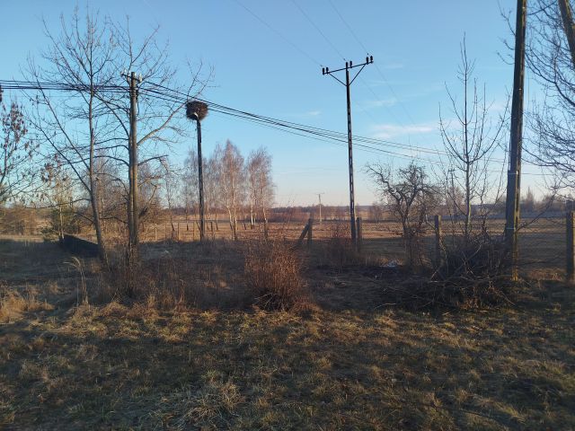 Działka rolno-budowlana Bałdrzychów. Zdjęcie 7