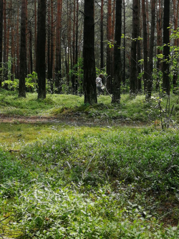 Działka budowlana Chechło Młyny, ul. Leśna. Zdjęcie 15