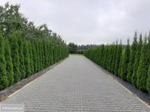 Działka budowlana Fabianów. Zdjęcie 4