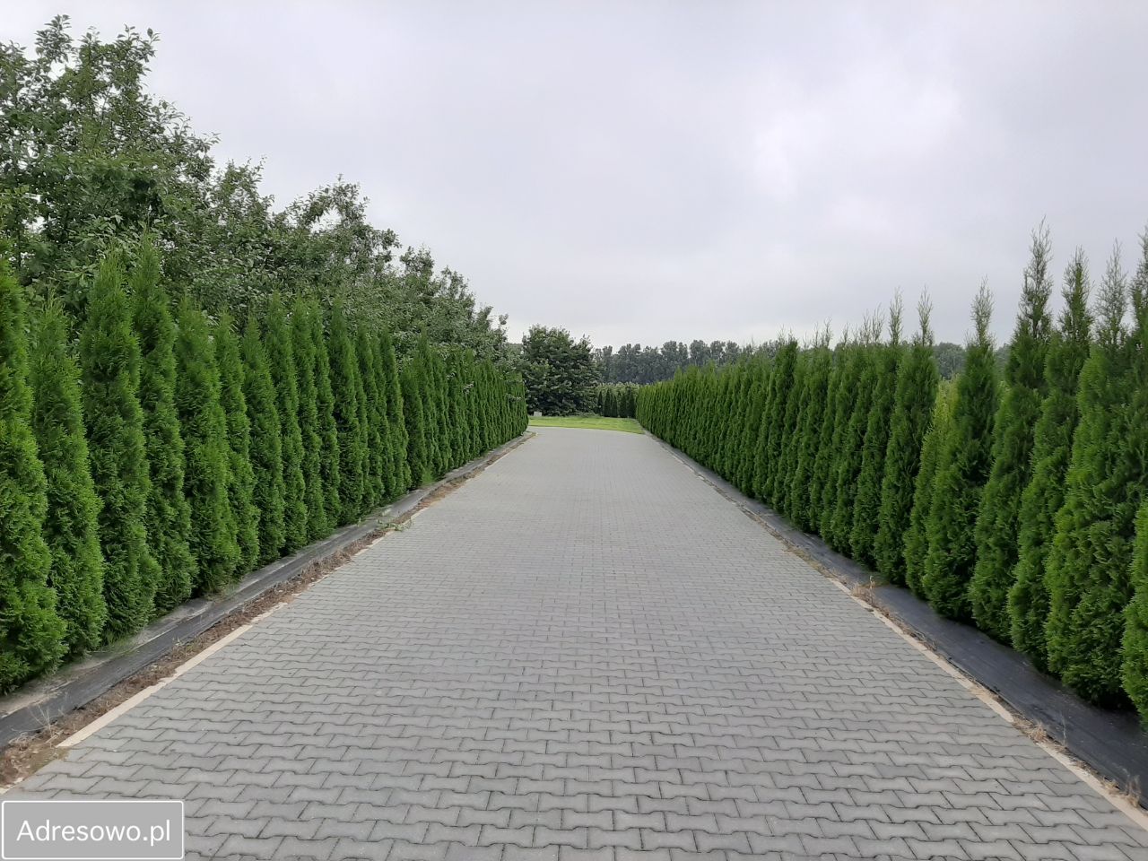 Działka budowlana Fabianów. Zdjęcie 5