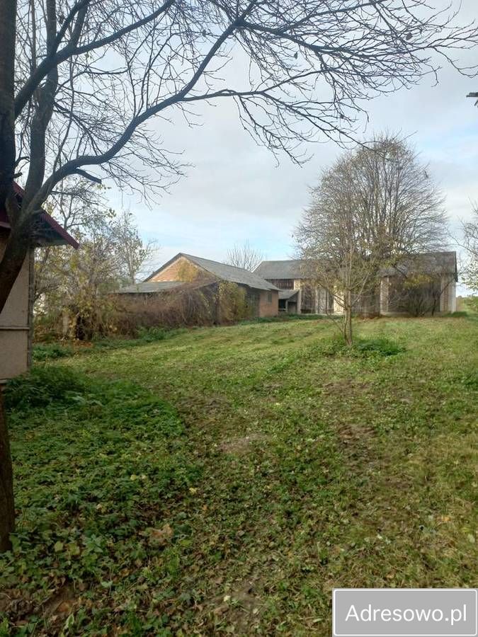 Działka siedliskowa Antoniówka. Zdjęcie 5