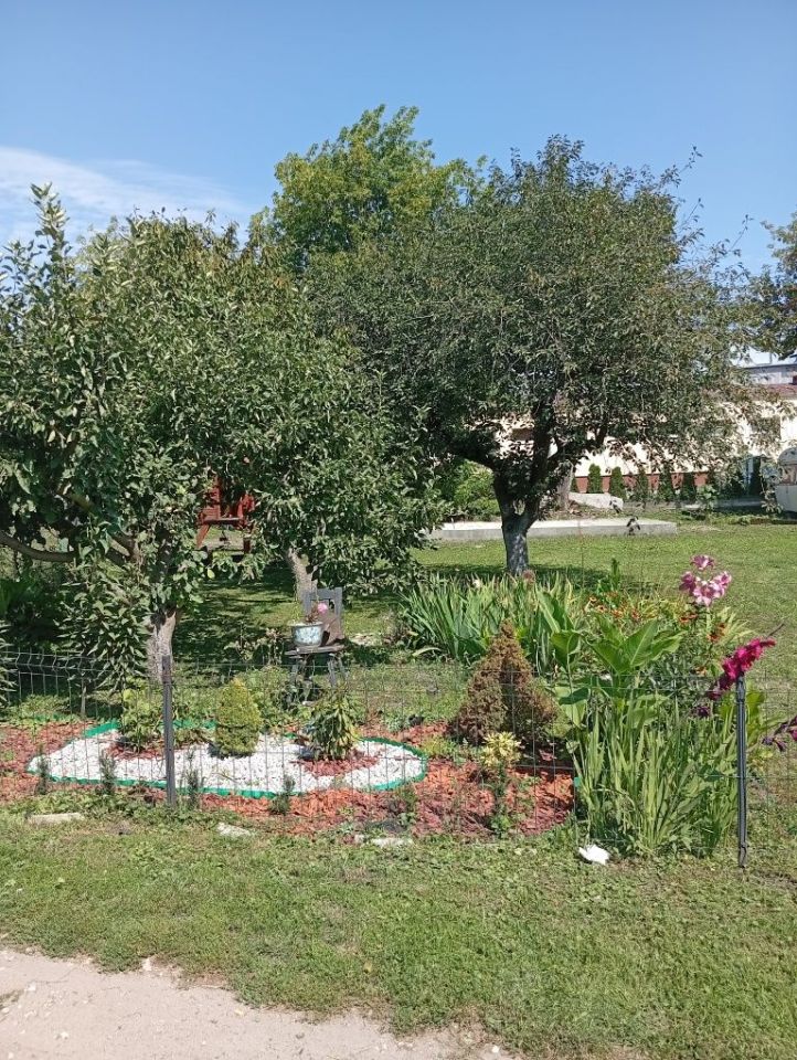 Działka rod Kruszwica. Zdjęcie 5