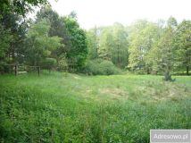 Działka budowlana Przechlewko. Zdjęcie 2