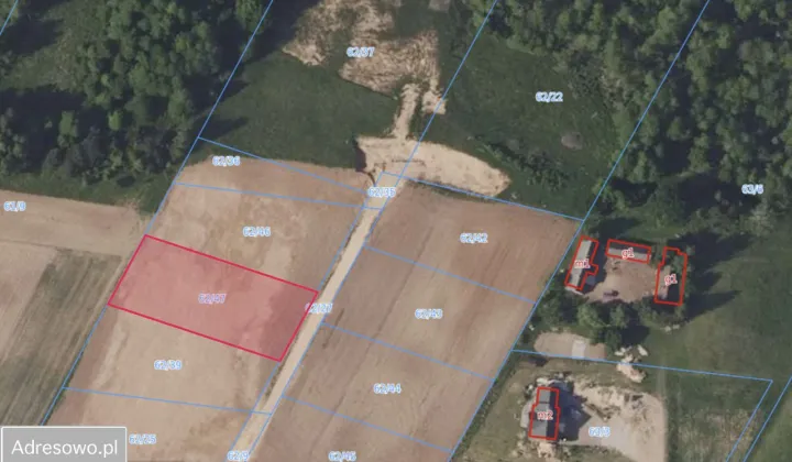 Działka siedliskowa Okuniowiec