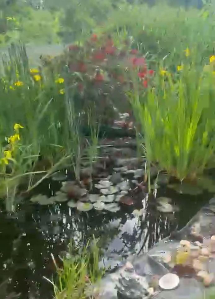 Działka rod Gliwice Wójtowa Wieś, ul. Ku Dołom. Zdjęcie 18