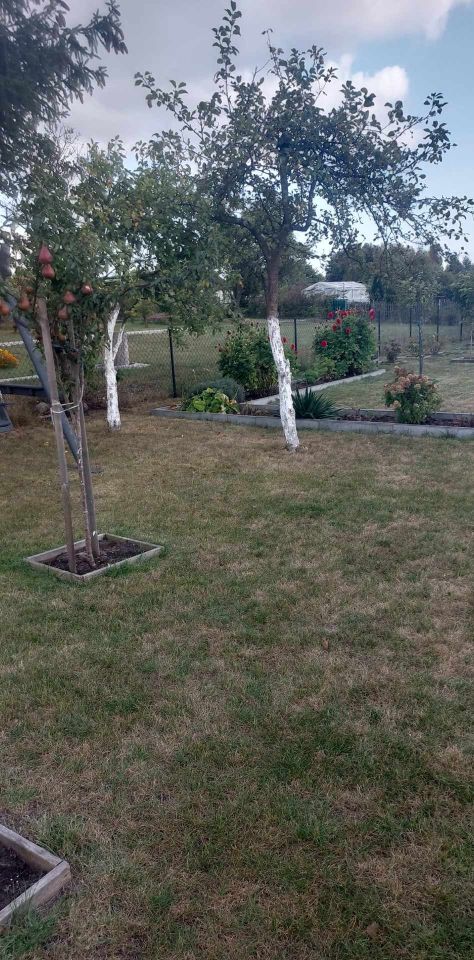 Działka rod Grochowiska. Zdjęcie 38