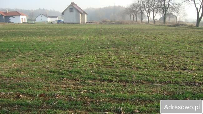 Działka budowlana Żarów. Zdjęcie 2