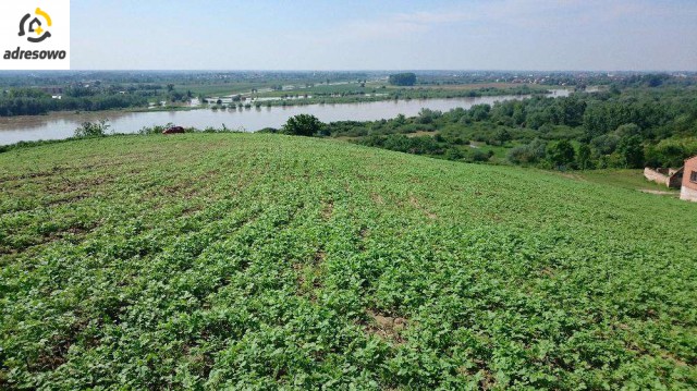 Działka rolno-budowlana Kamień Łukawski. Zdjęcie 1