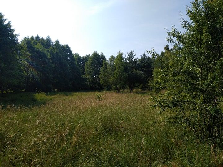 Działka budowlana Bartoszylas. Zdjęcie 10